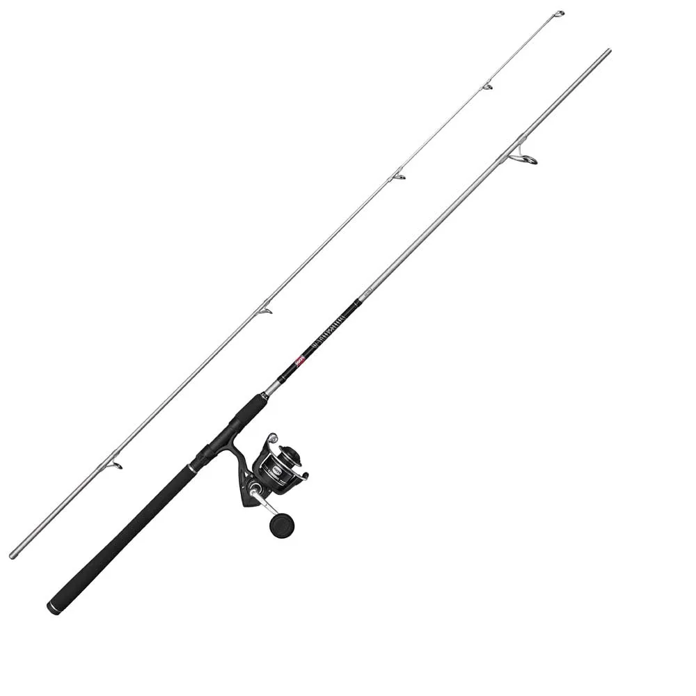 

Набор для спиннинга PENN PursuitВ V Labrax, серебряный