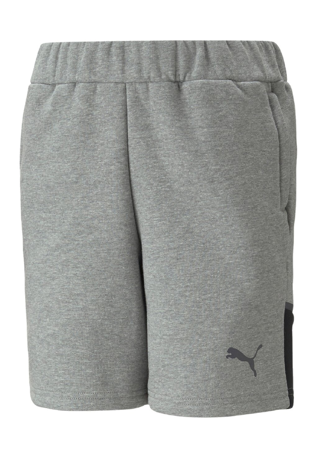 

Спортивные брюки TEAMCUP CASUALS Puma, цвет grau