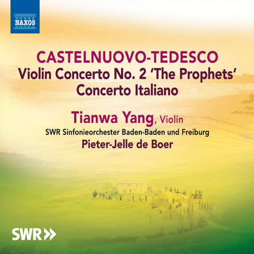 

CD диск Castelnuovo-Tedesco / Yang / Boer: Violin Cons