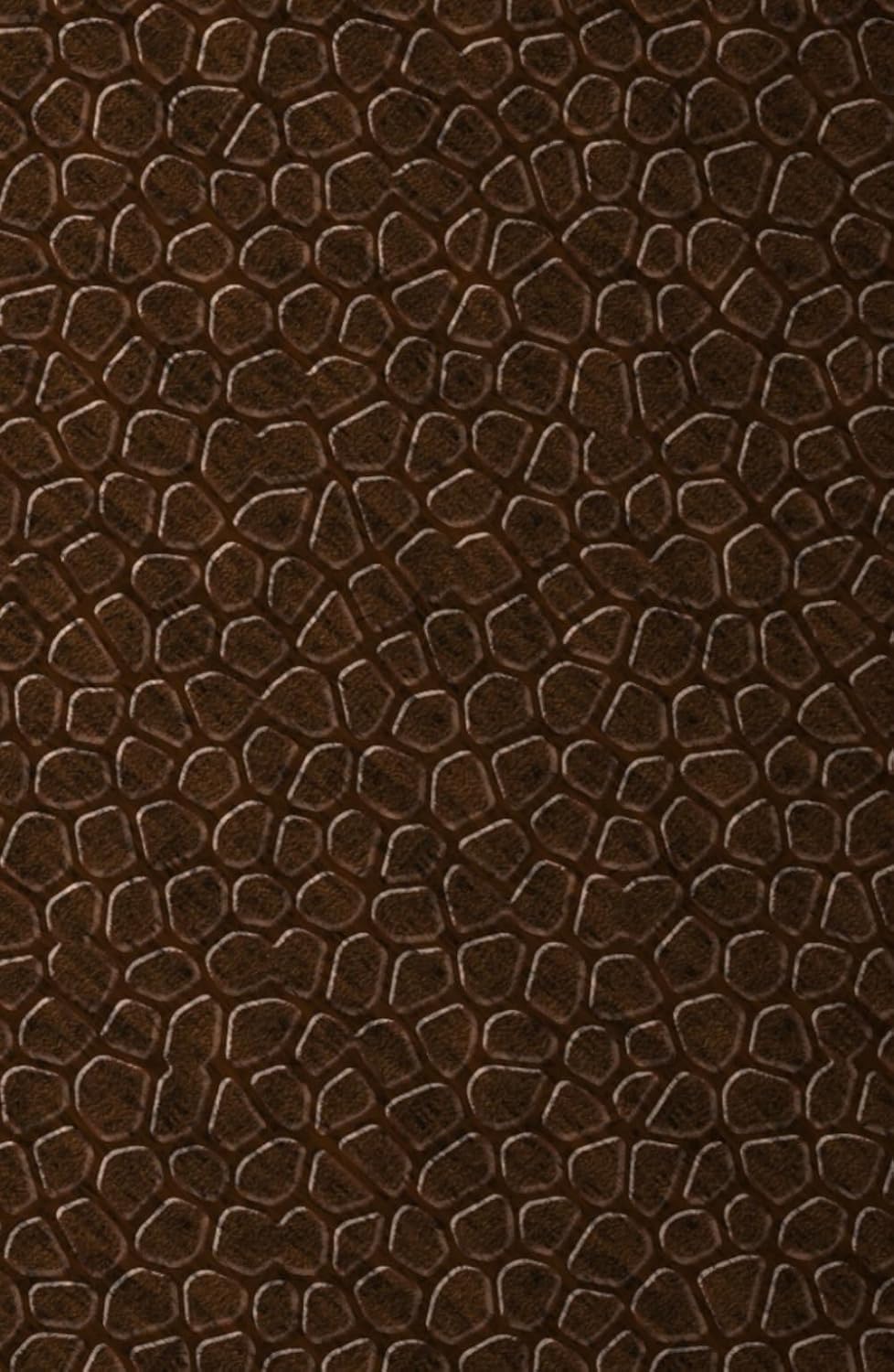 

archer and olive Notebook (Independently published)