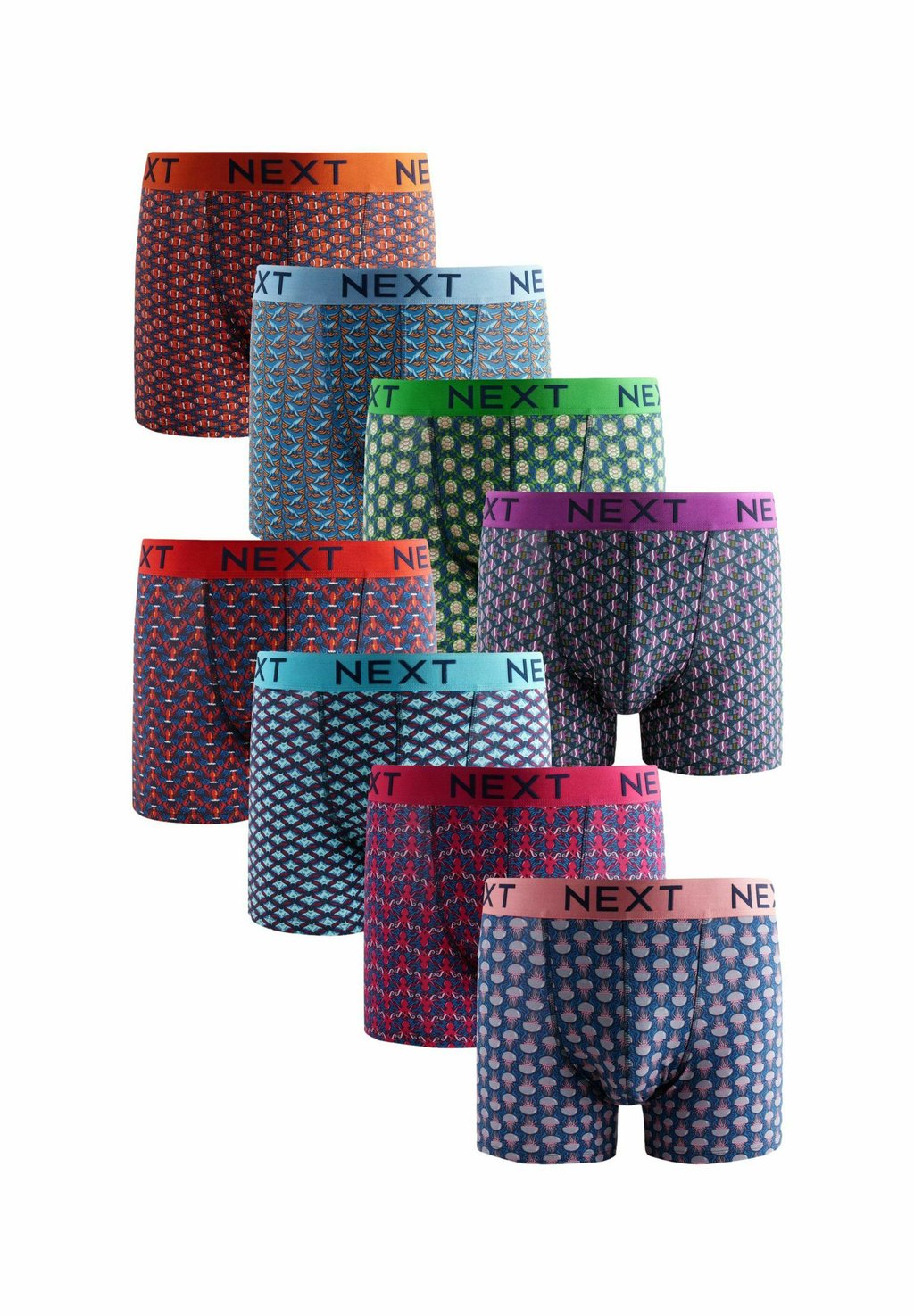 

Брюки 8 PACK - RICH TRUNKS Next, синий