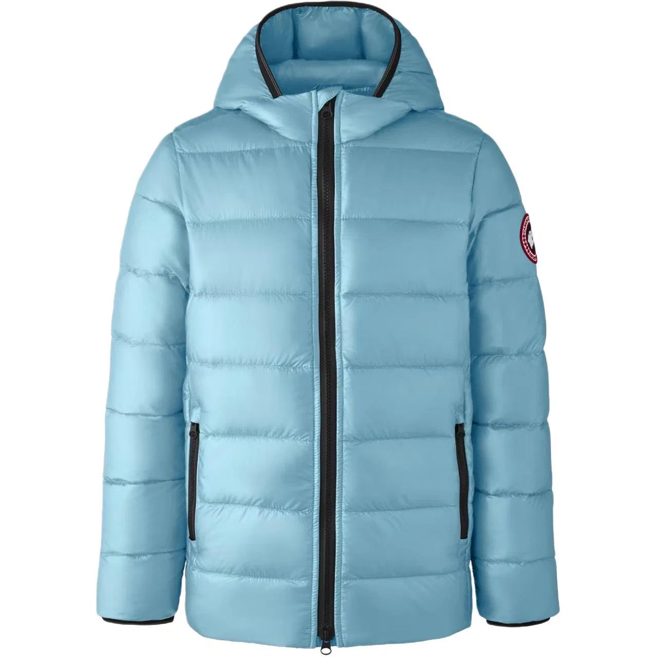 Детская куртка с капюшоном и молнией, логотип, длинный рукав, синяя Canada Goose, Blue