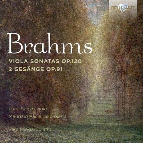 

CD диск Brahms / Mingardo / Sanzo / Paciariello: BRAHMS: VIOLA SONATAS OP 120 / 2 GESANGE OP 91