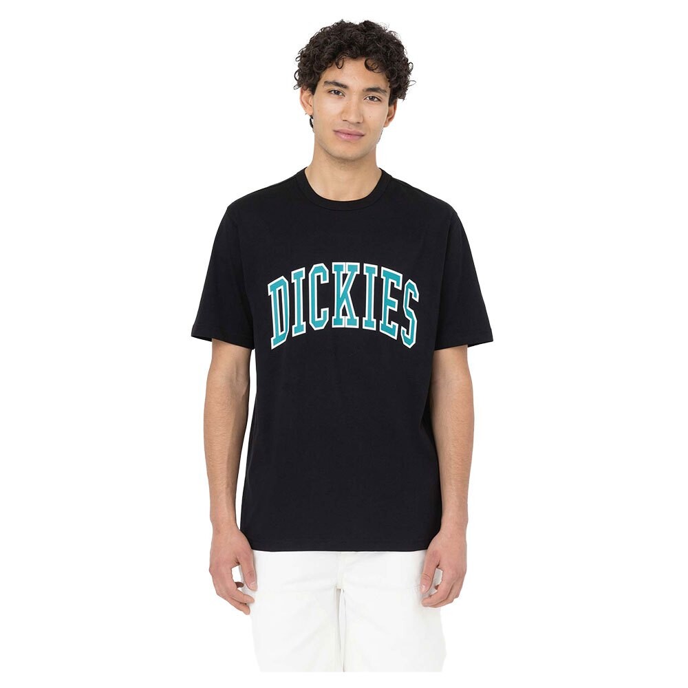 

Футболка Dickies Aitkin, черный