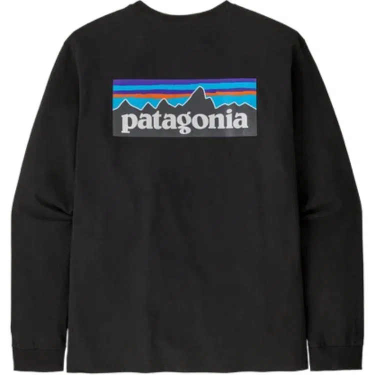Футболка с длинным рукавом Patagonia P-6 Logo Evening Purple — фото 3