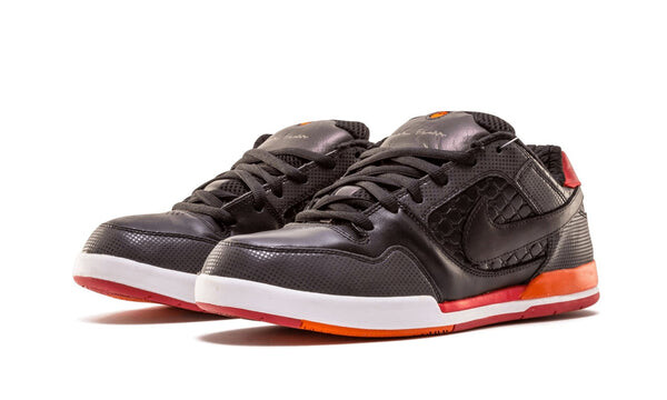 Кроссовки sb paul rodriguez 2 fuji rod Nike, черный — фото 2