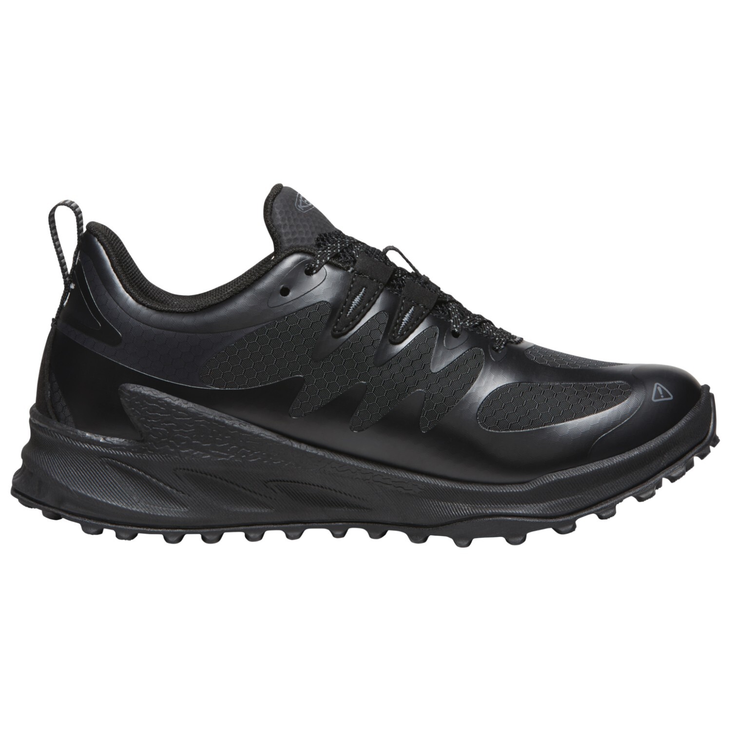 

Мультиспортивная обувь Keen Women's Zionic WP, цвет Black/Black
