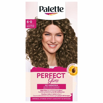 

Палитра Perfect Gloss 6-0 Светло-каштановый цвет волос Poly