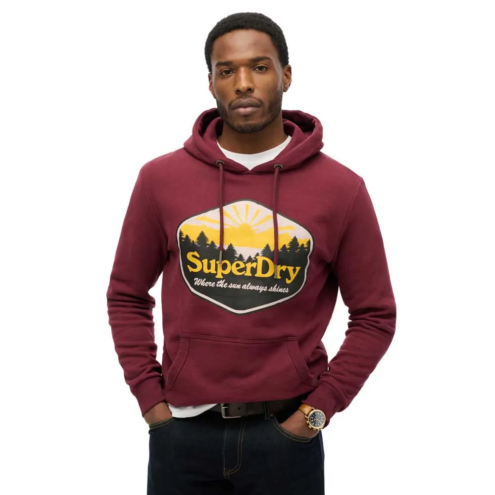 

Худи Superdry Sun Tab, красный