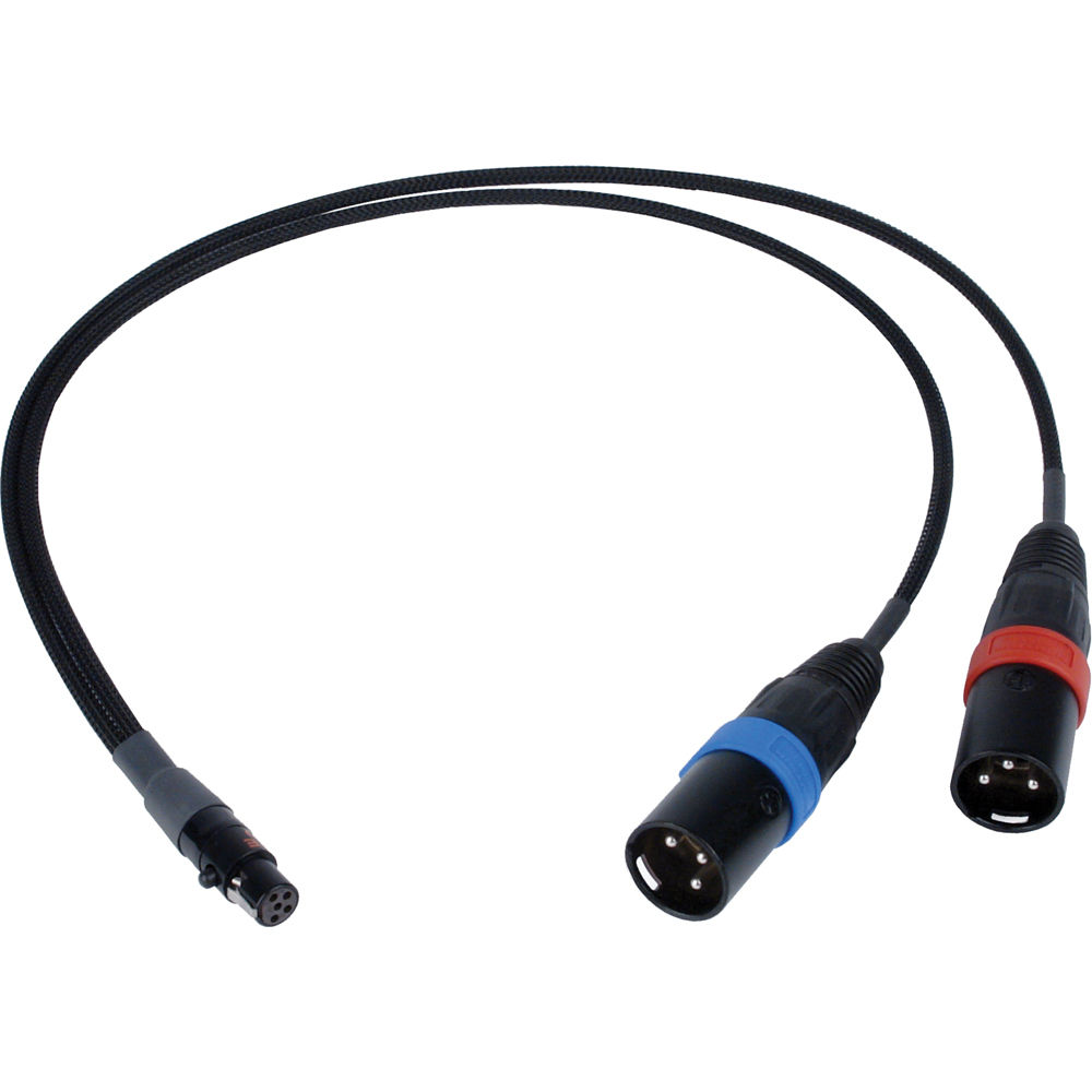

Remote Audio TA5F Y Cable to Two XLR-3M, Left and CAT5F2X3M18