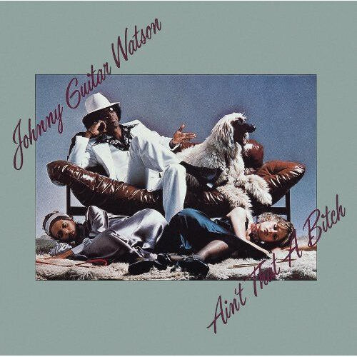 

CD диск Watson, Johnny Guitar: Ain't That a b*tch