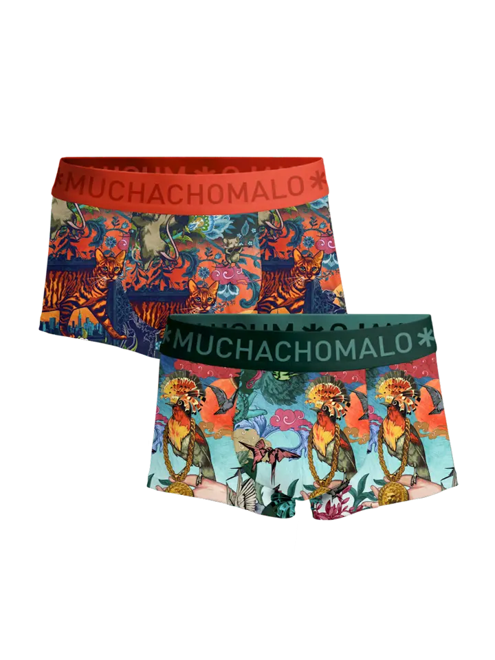 

Боксеры Muchachomalo 2er Set short, разноцветный