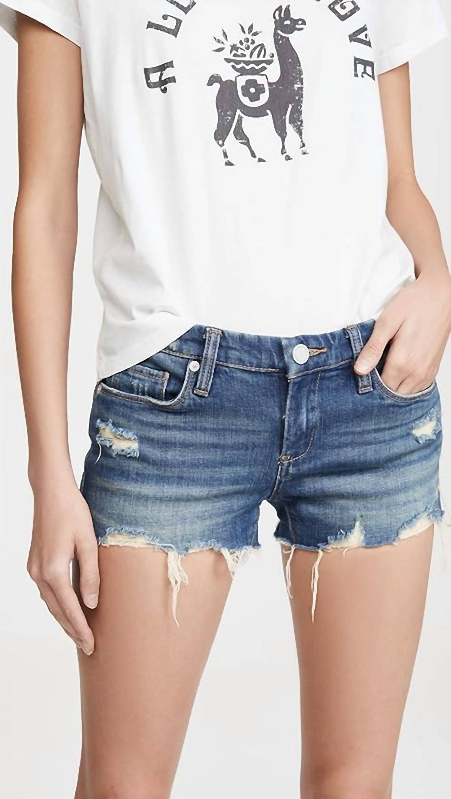 

Шорты Astor Raw Hem Deinm в стиле Shake It Out BLANKNYC