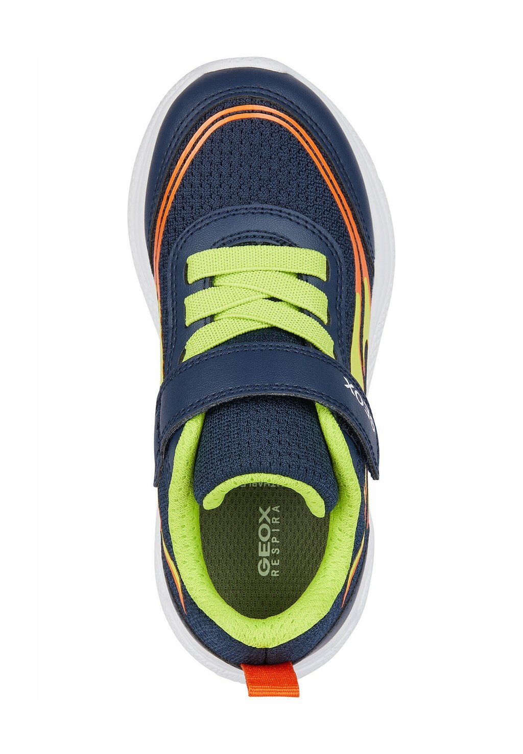 Кроссовки низкие SPRINTYE Geox, цвет navy lime — фото 3