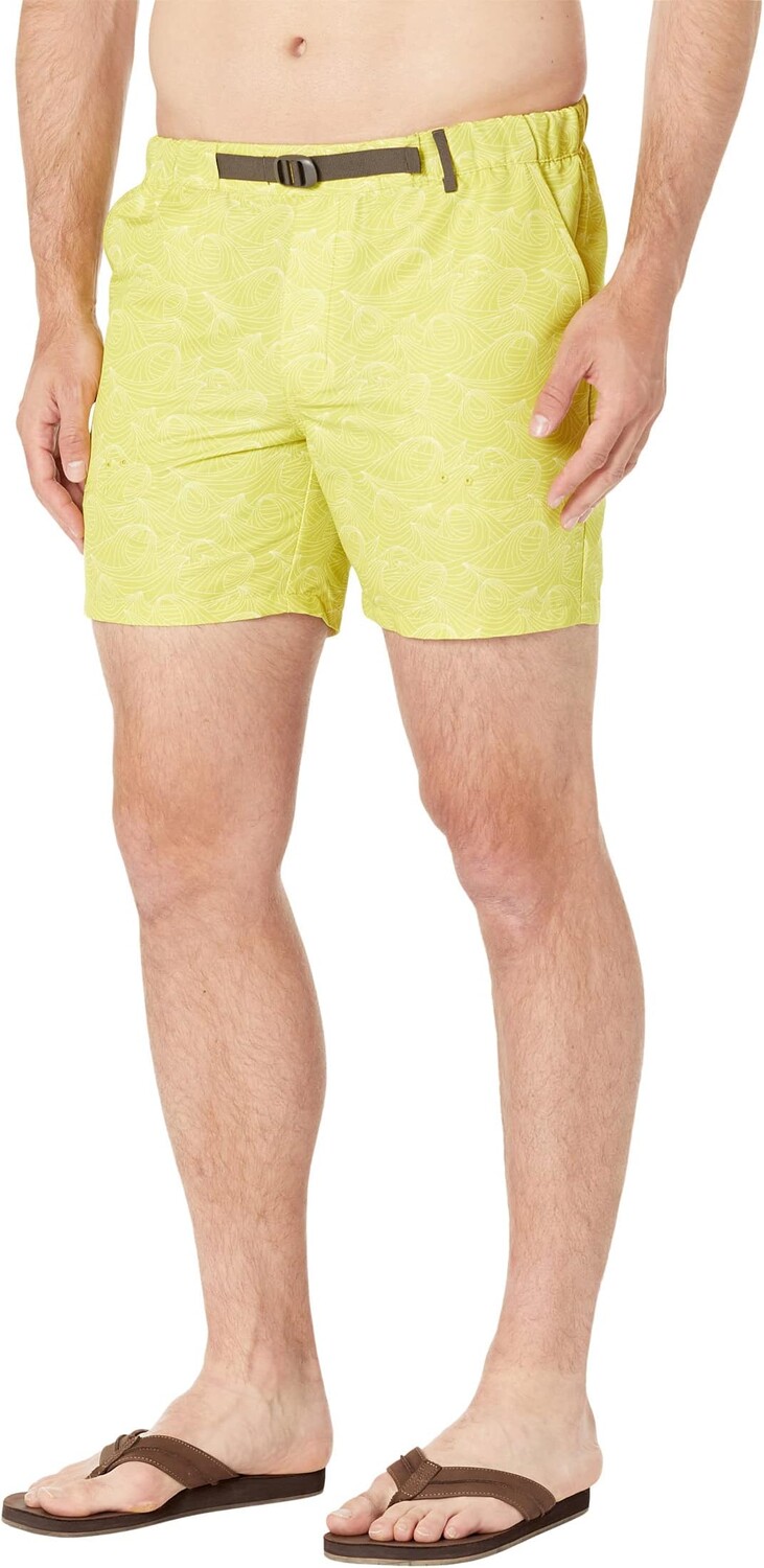 

Пляжные шорты Helly Hansen Solen Printed Recycled Watershorts, цвет Warm Olive