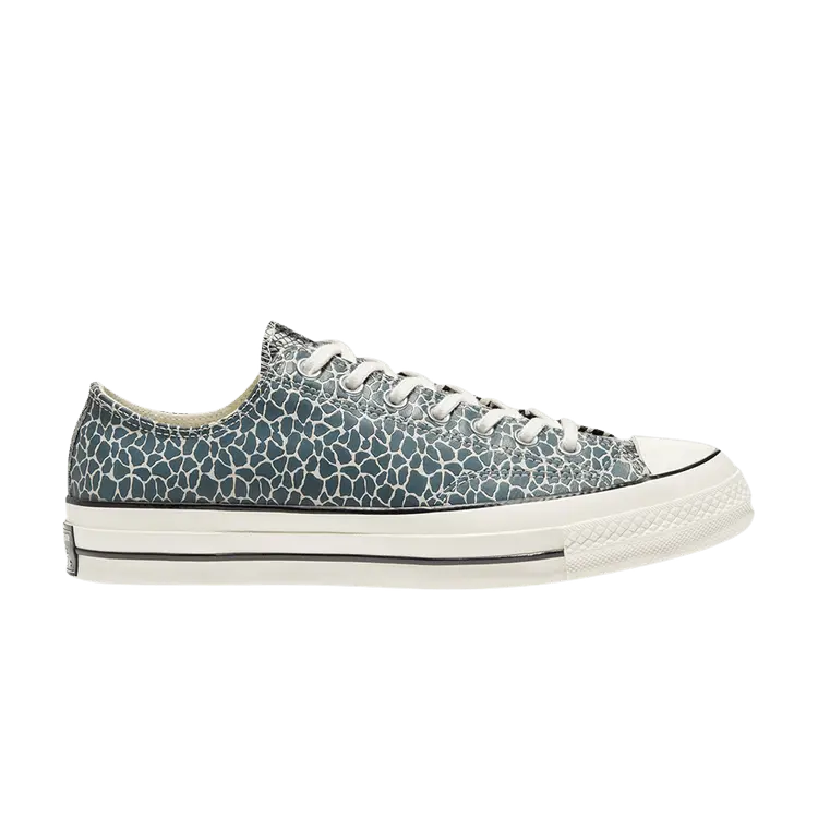 

Кроссовки Converse Chuck 70 Low 'Space Animal', разноцветный