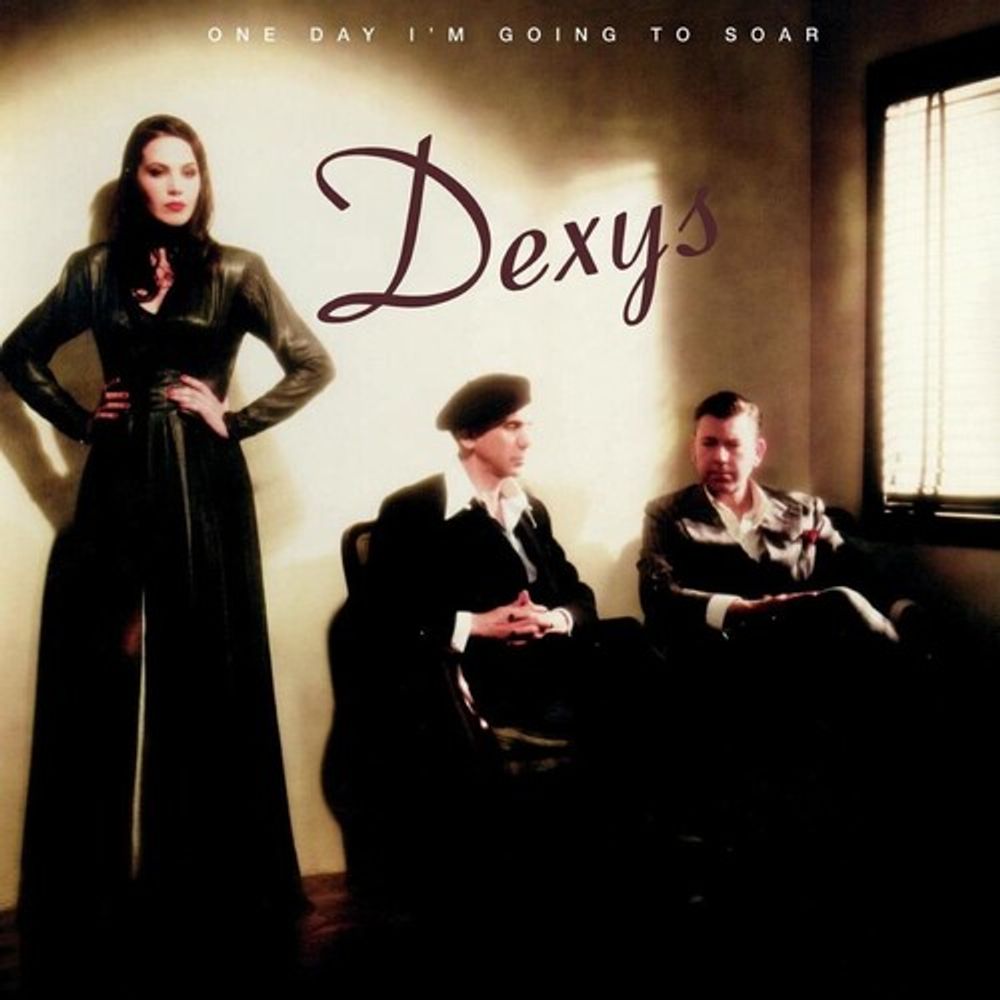 

Виниловая пластинка LP One Day I'm Going To Soar - Dexys