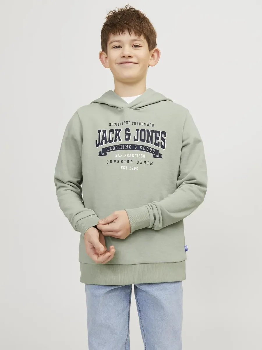 

Детская толстовка Jack & Jones "JJELOGO SWEAT HOOD 2 COL 24 SN JNR" Jack & Jones Junior, цвет Desert Sage