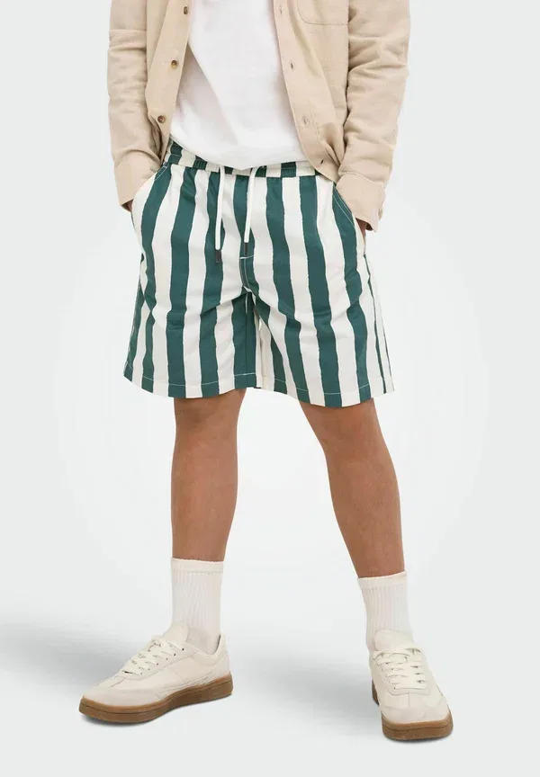 Шорты-джоггеры Only & Sons Junior OSJFADE Loose Fit, серебристая сосна — фото 2