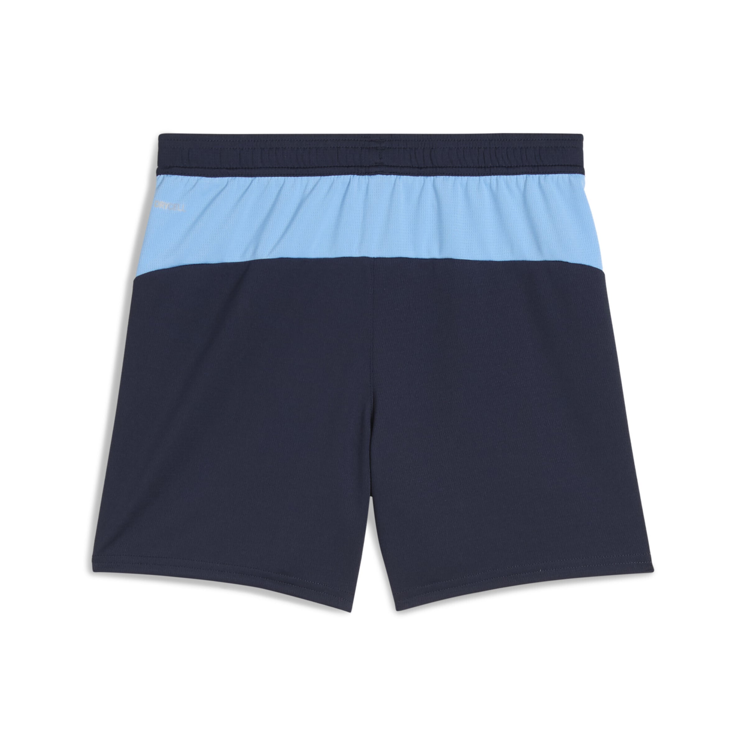 PUMA Шорты для тренировок Regular 'Manchester City 25/26' в цвете Navy, Dusty Blue — фото 2