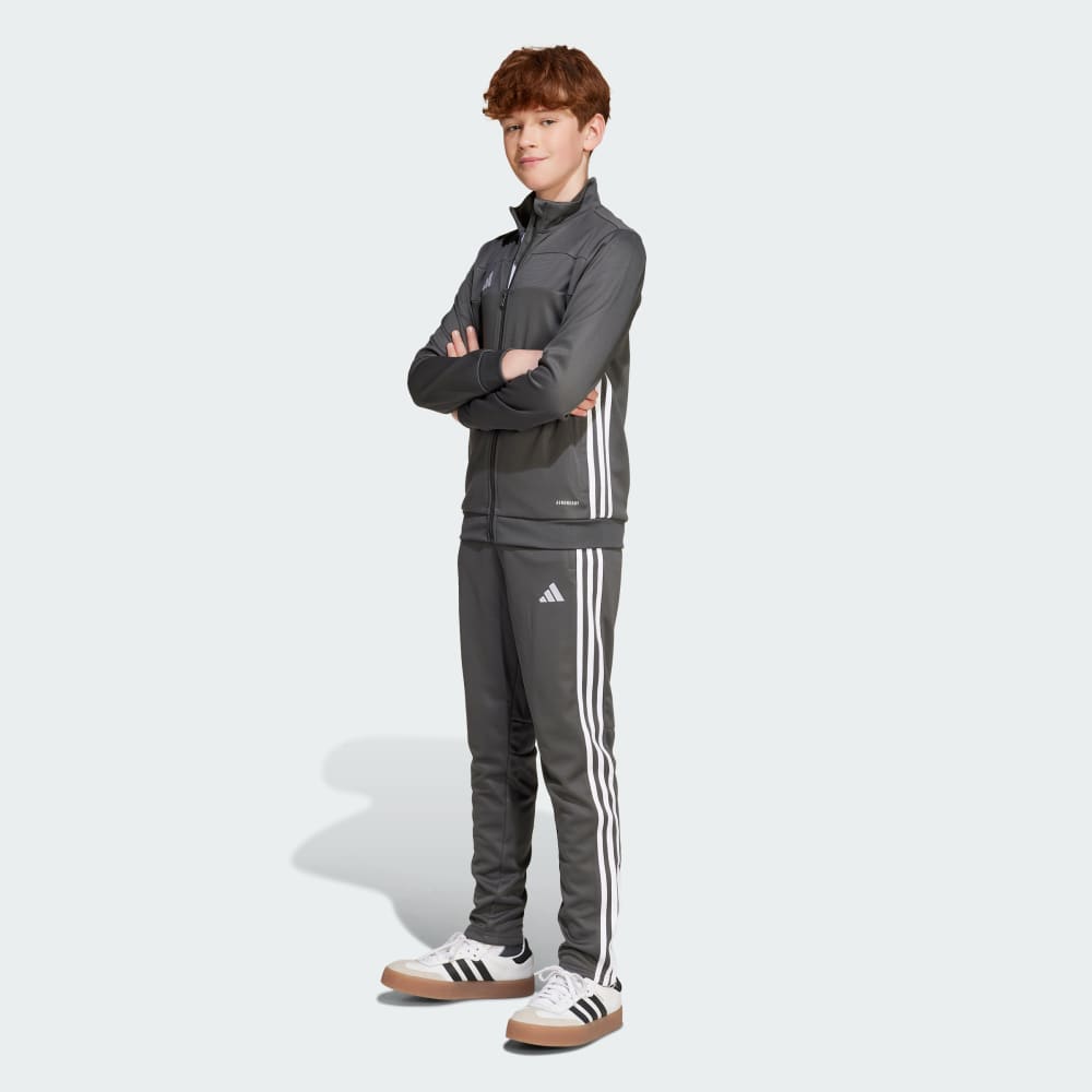 Спортивные брюки Adidas Tiro 25 Essentials Training Pants Kids, цвет Grey Six/White — фото 3