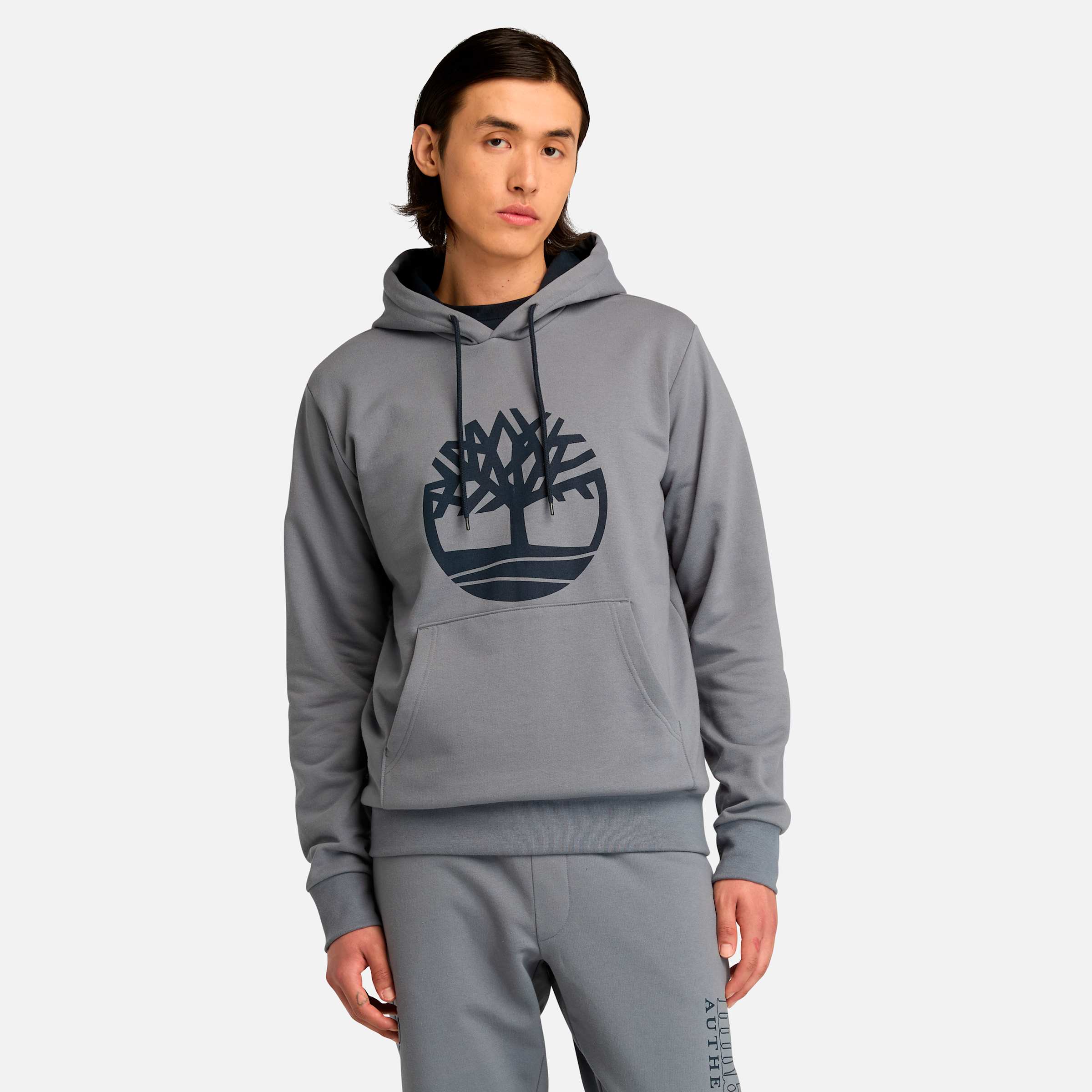 

Мужская толстовка с капюшоном Northwood US Tree Logo Brushback Timberland, цвет folkstone grey