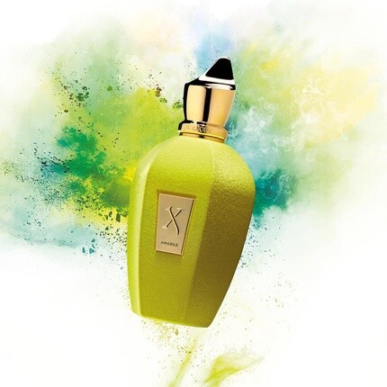 Xerjoff Amabile By Eau De Parfum Spray 100ml — фото 3