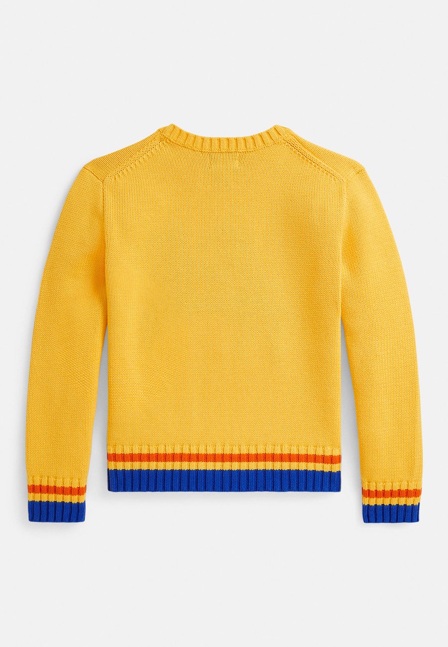 Джемпер Polo Ralph Lauren POLO PLAYER COTTON SWEATER 7-14Y, Racing Yellow/Yellow — фото 2