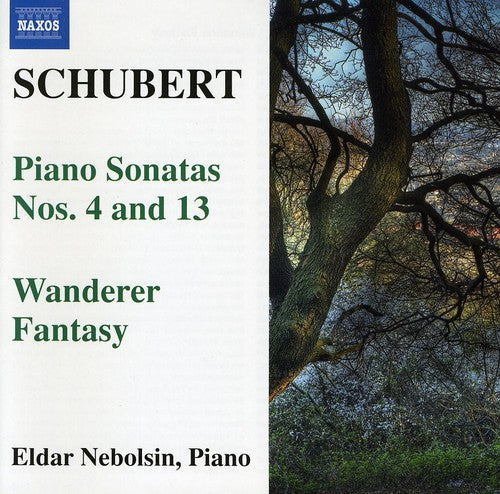 

CD диск Schubert / Nebolsin, Eldar: Piano Sonatas / Wanderer Fantasy