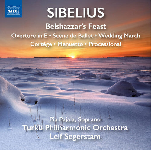 

CD диск Sibelius / Turku Philharmonic Orchestra: Orchestral Works