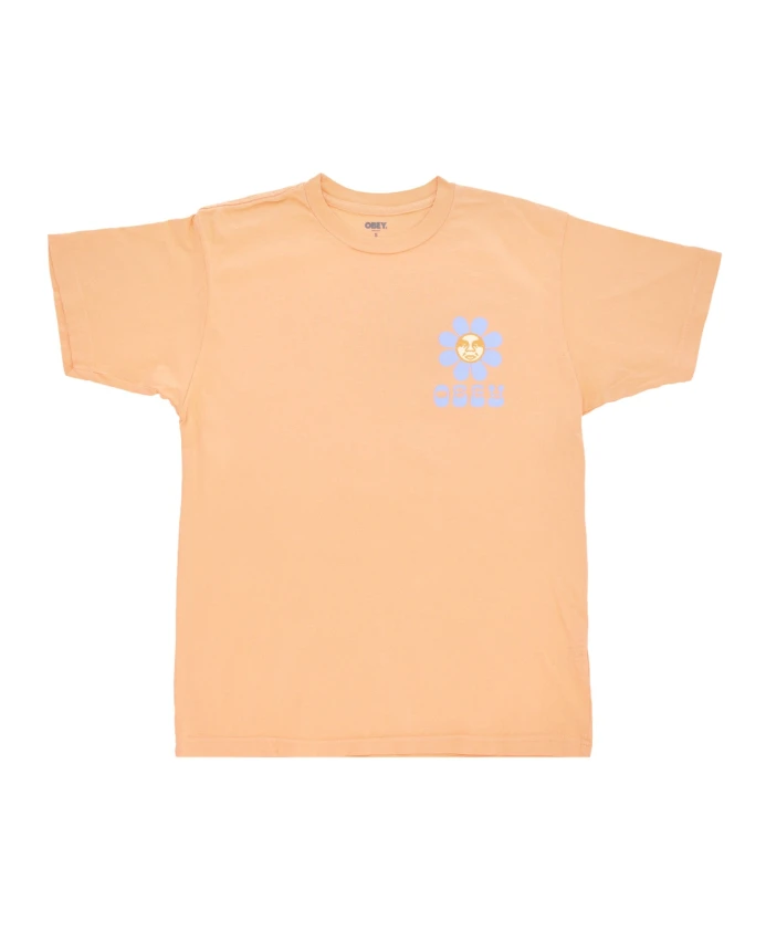 

Мужская футболка «Смузи из папайи» Obey, бежевый