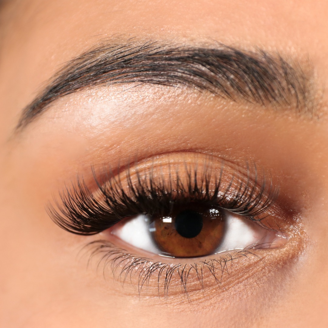 Искусственные ресницы pre cut wimpern bundle Aylashes, mrs right bundle - short (8mm 10mm 12mm 14mm), количество 1 шт. — фото 2