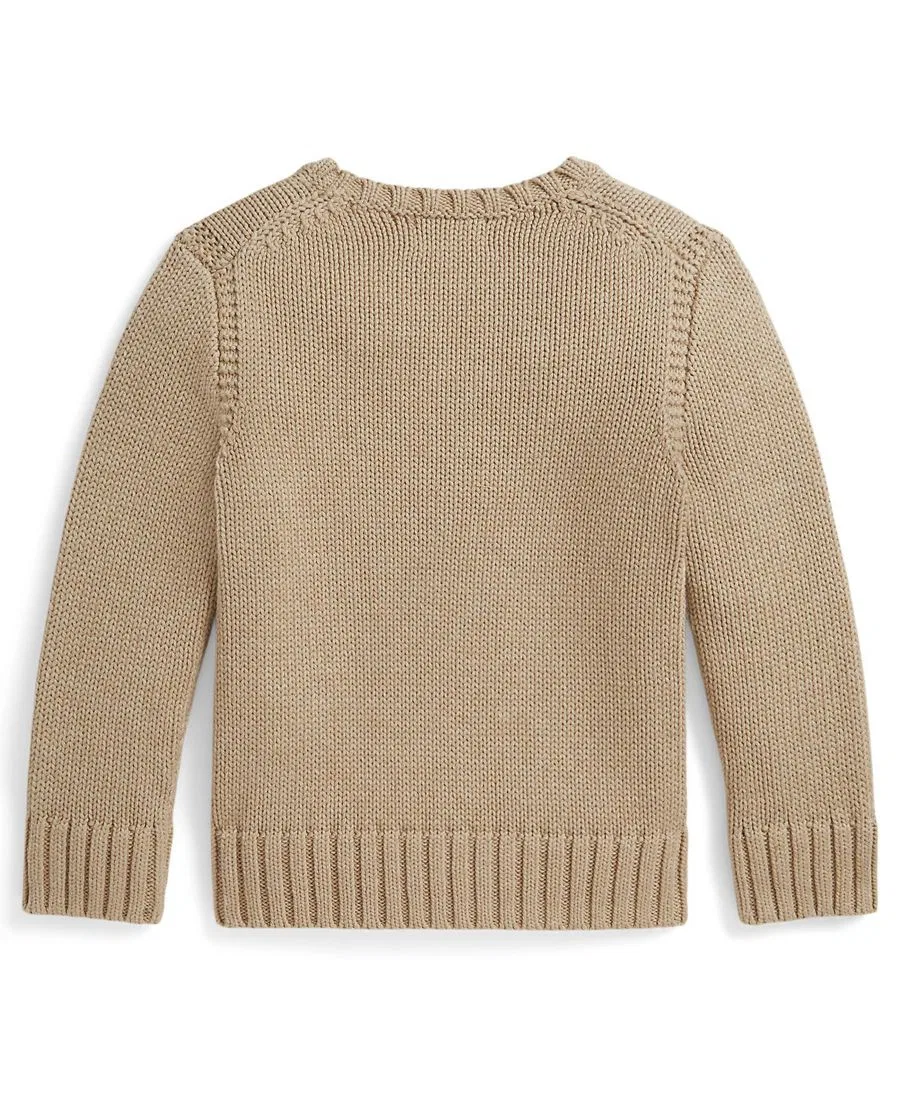 Детский свитер с контрастной отделкой и изображением флага (2-7 лет) Polo Ralph Lauren, бежевый — фото 2
