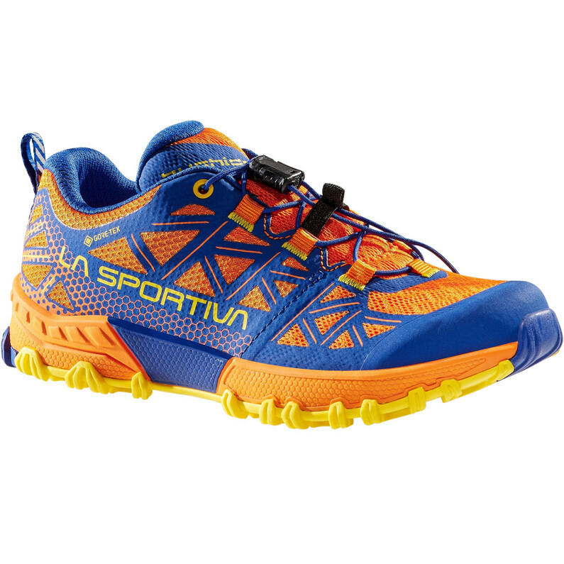 

Детская обувь Bushido II GTX La Sportiva, мультиколор
