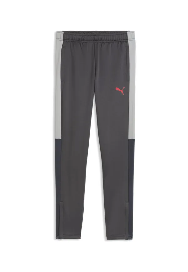 Спортивные штаны для настольного футбола индивидуальной лиги Puma, Strong Gray- Red-Gray Echo