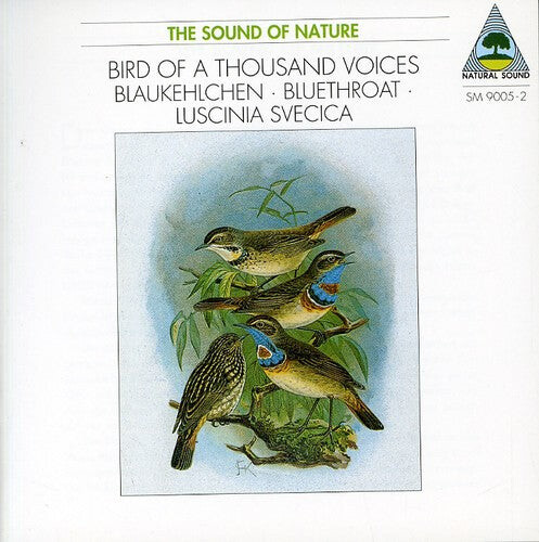 

CD диск Tilgner: Blaukehlchen
