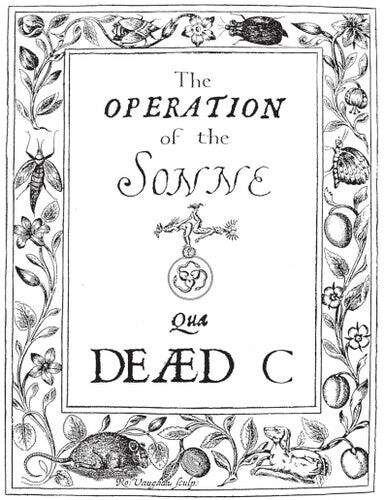 

Виниловая пластинка Dead C: Operation Of The Sonne
