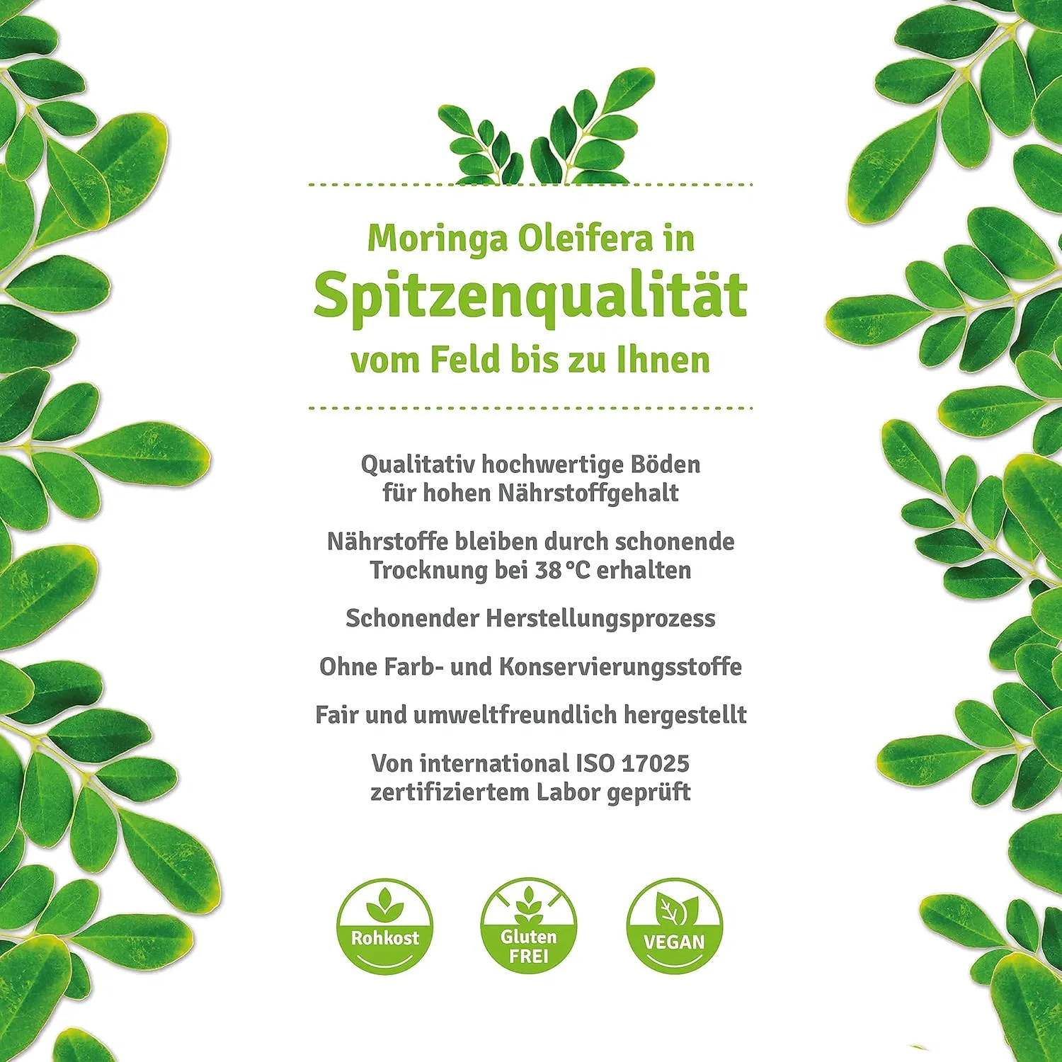 Масло моринги холодного отжима 100 мл от Moringa Maya Garden Moringa Maya Garden — фото 3