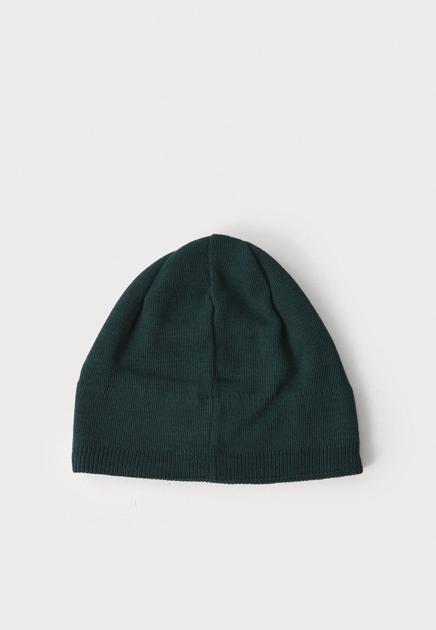 

Шапка Salomon BEANIE UNISEX, Green Gables/Green