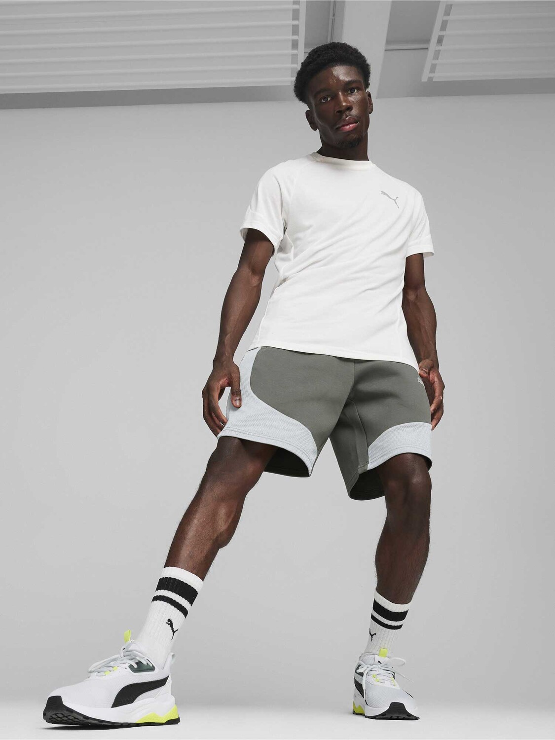 

Шорты Puma EVOSTRIPEs 8 DK, серый