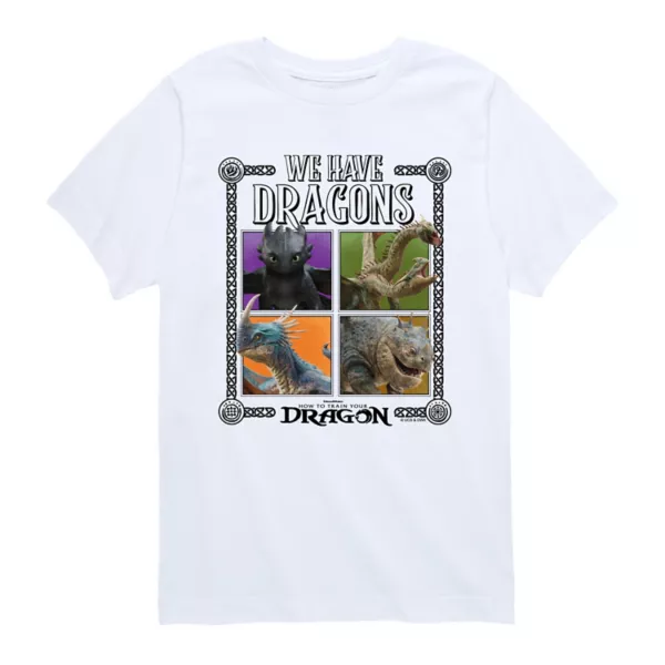 

Футболка с принтом "Как приручить дракона" для мальчиков 8-20 лет Licensed Character, белый