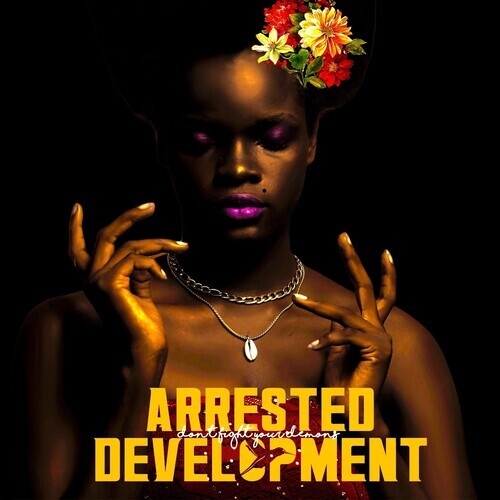 

Виниловая пластинка Arrested Development: Don't Fight Your Demons