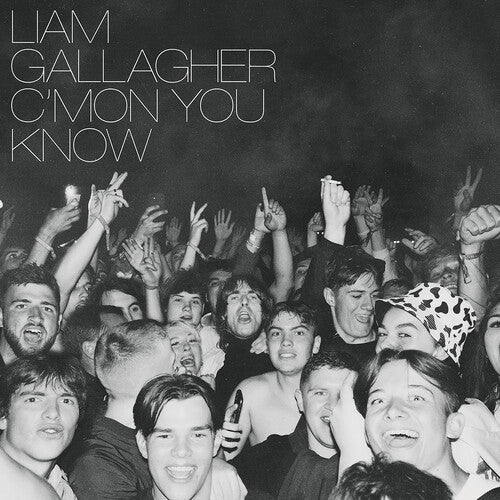 

Виниловая пластинка Gallagher, Liam - C'Mon You Know