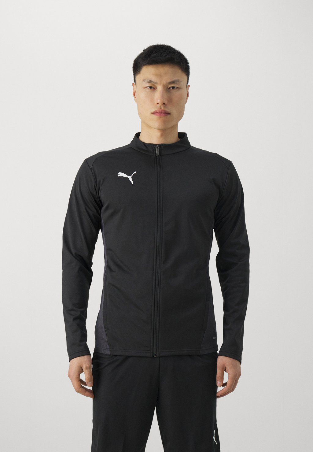 

Спортивная куртка Teamgoal Training Jacket Puma, цвет black/white/flat dark gray