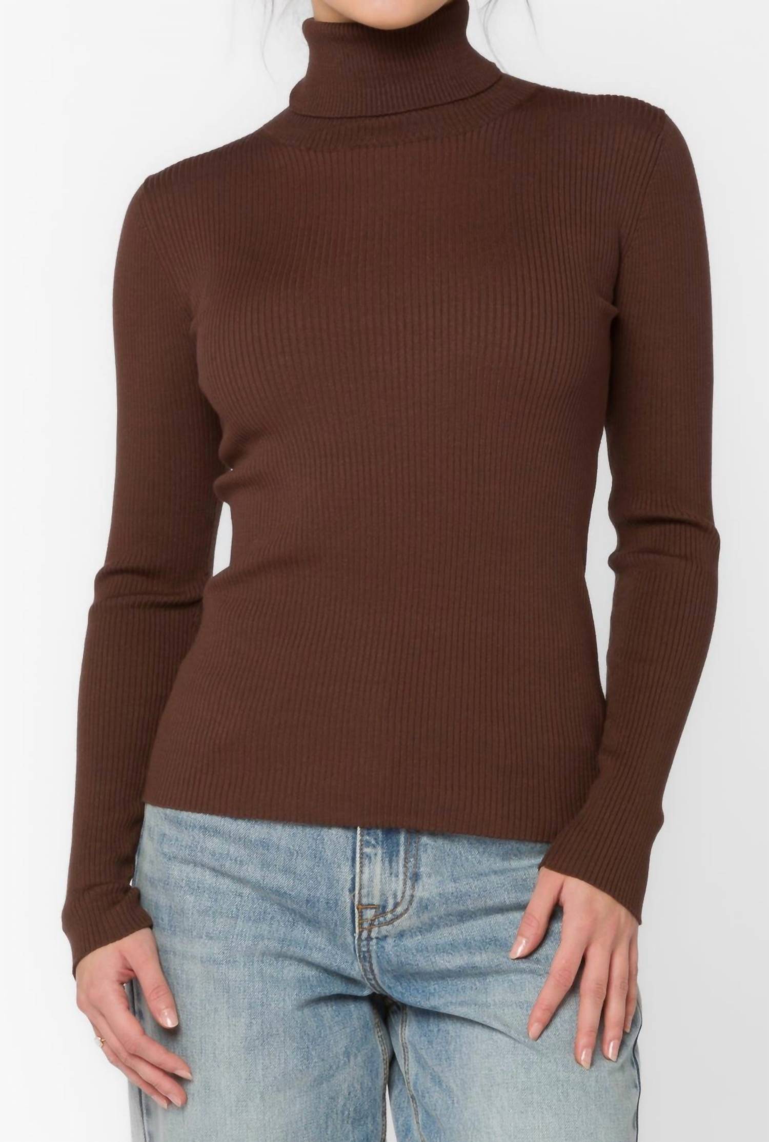 

Свитер с высоким воротником Cindy в цвете Java Brown Velvet Heart