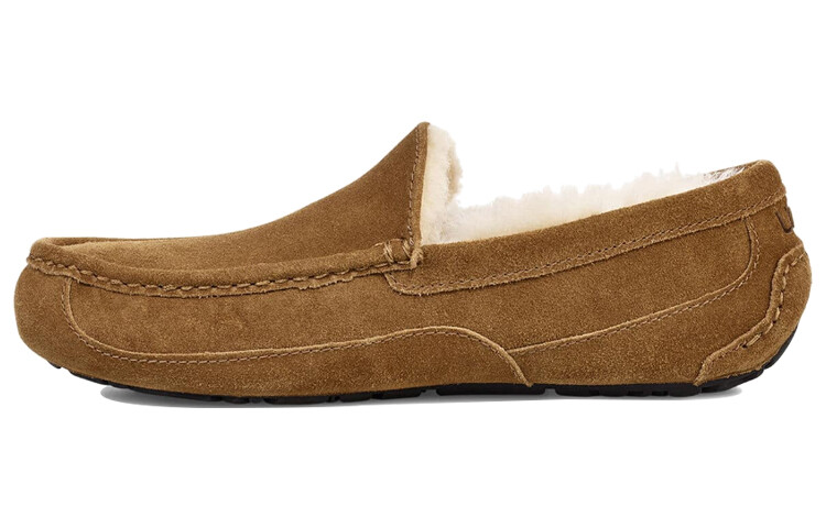 

Мужская обувь Ugg Ascot Lifestyle, Коричневый, Мужская обувь Ugg Ascot Lifestyle
