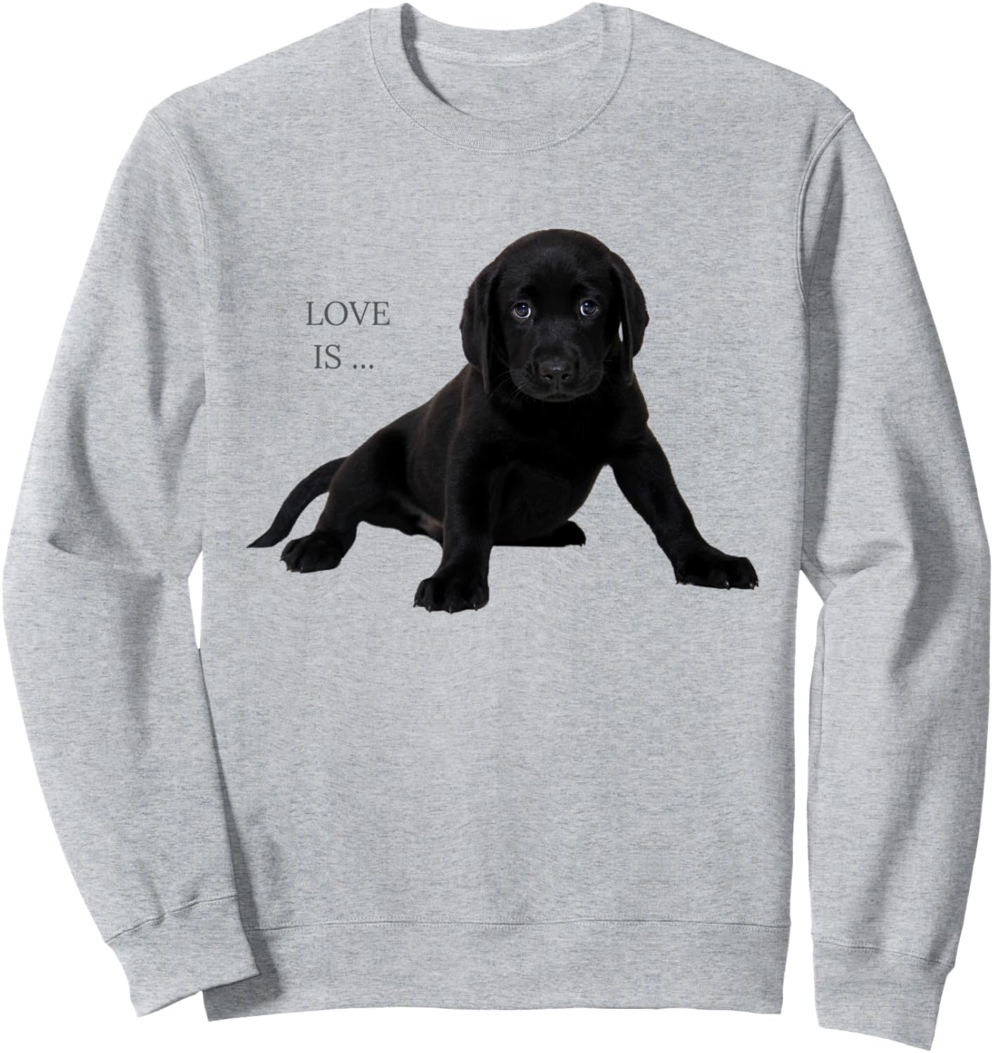 

Толстовка с изображением черного лабрадора-ретривера, толстовка шоколадного цвета для мамы и папы лабрадора Labrador Retriever Shirts And Gifts, Черный, Толстовка с изображением черного лабрадора-ретривера, толстовка шоколадного цвета для мамы и папы лабр