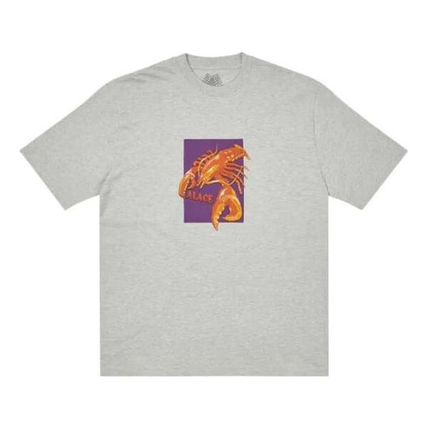 

Футболка fw22 thermadore t-shirt 'grey' Palace, серый