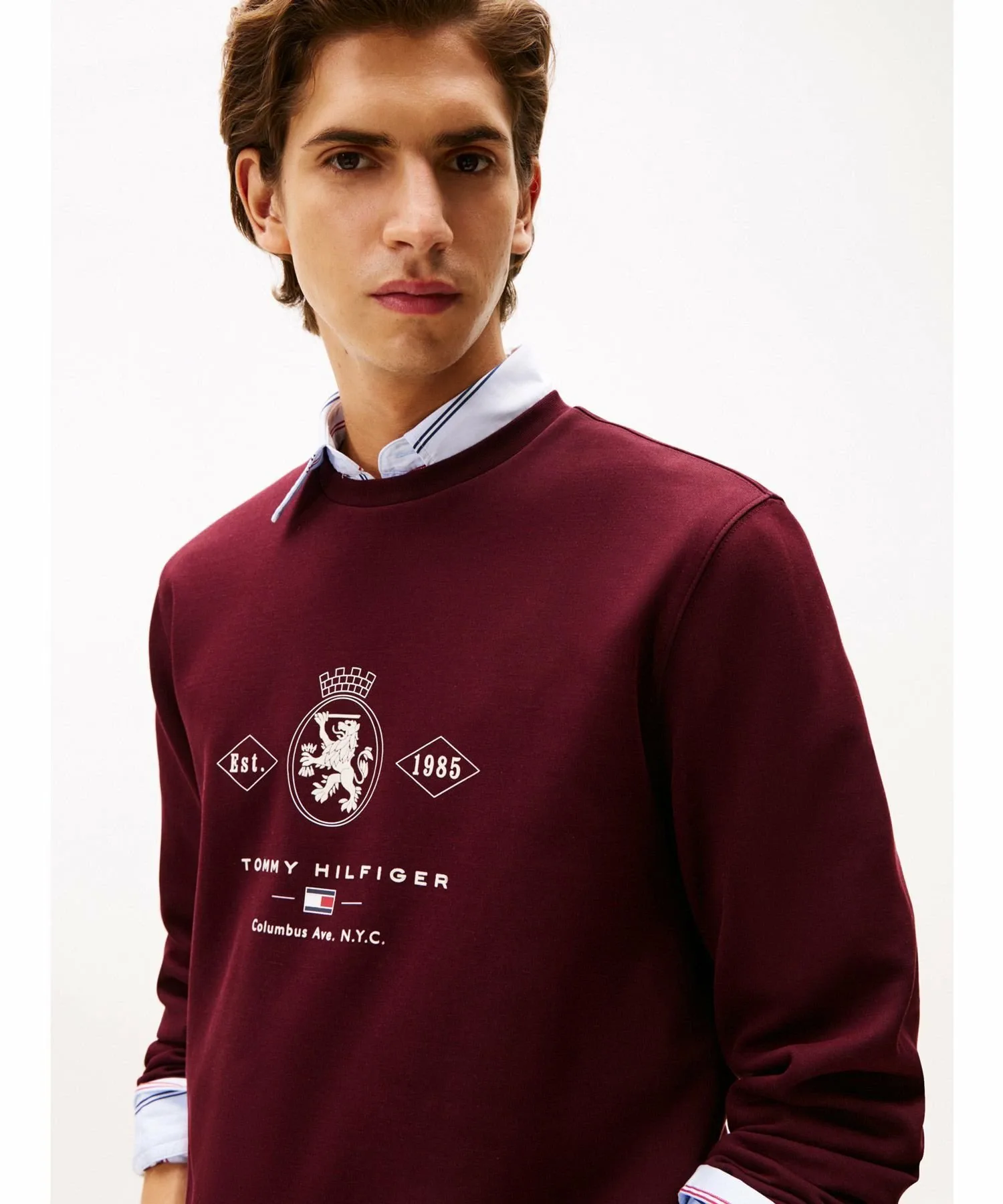 Толстовка с графическим изображением герба бриллианта TOMMY HILFIGER, Navy DW5 — фото 2