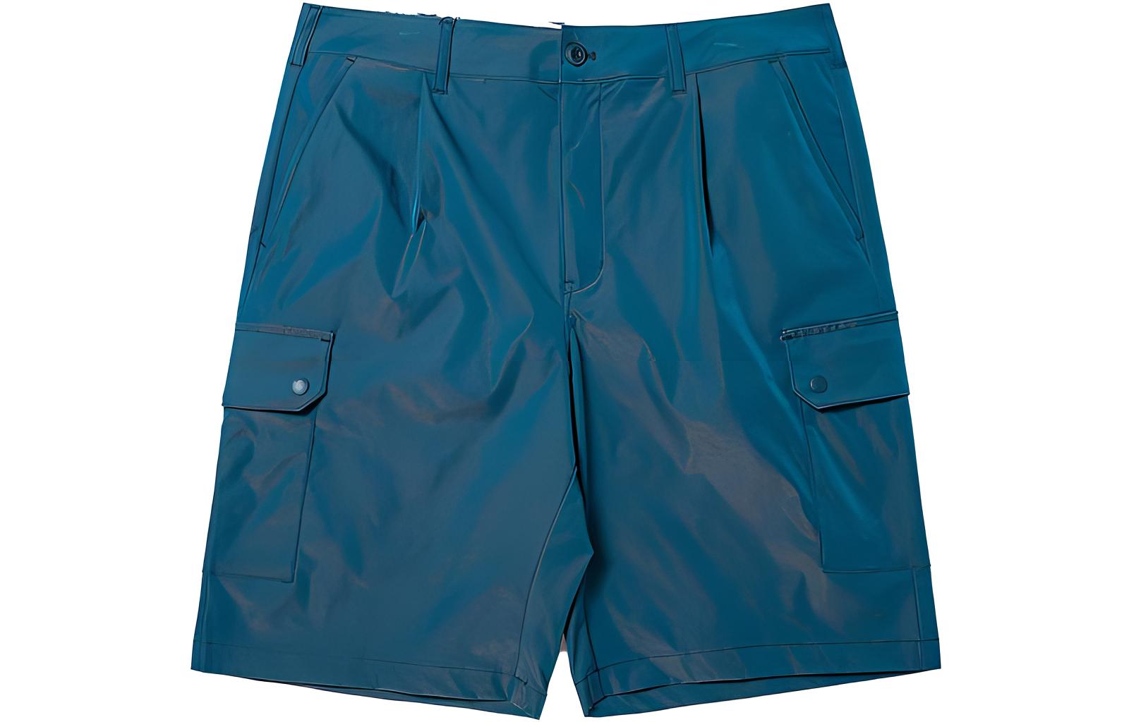 

Повседневные шорты Unisex Moderate Dickies, темно marine синий